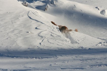 16 fjällen race 1.jpg