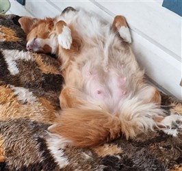 Mandie dag 57
