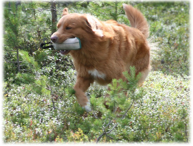Max.jpg